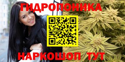 apvp Обь