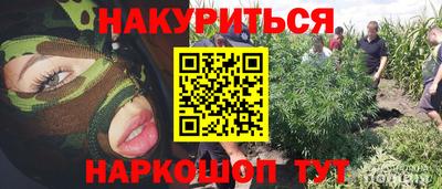 apvp Обь