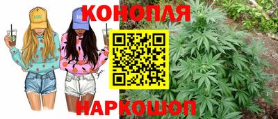 apvp Обь